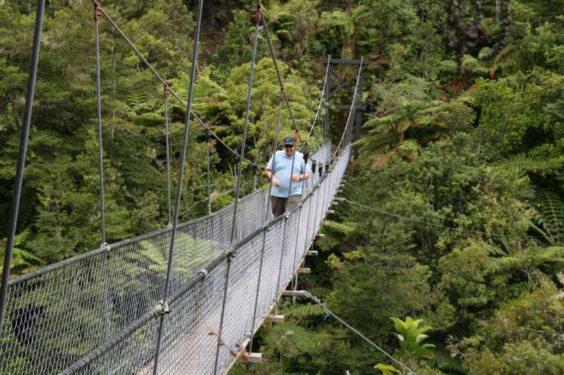 Nieuw-Zeeland 2011 - 1026